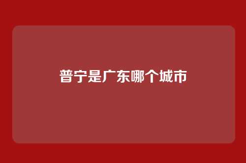 普宁是广东哪个城市