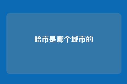 哈市是哪个城市的