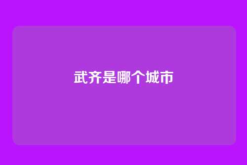 武齐是哪个城市