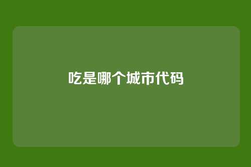 吃是哪个城市代码