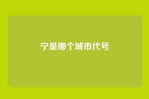 宁是哪个城市代号