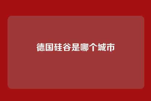 德国硅谷是哪个城市