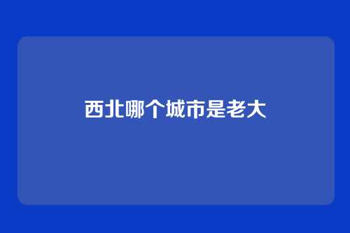 西北哪个城市是老大