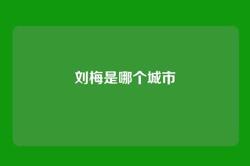 刘梅是哪个城市