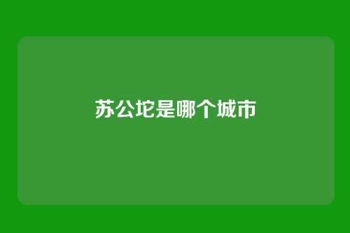 苏公坨是哪个城市