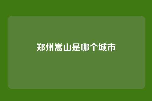 郑州嵩山是哪个城市