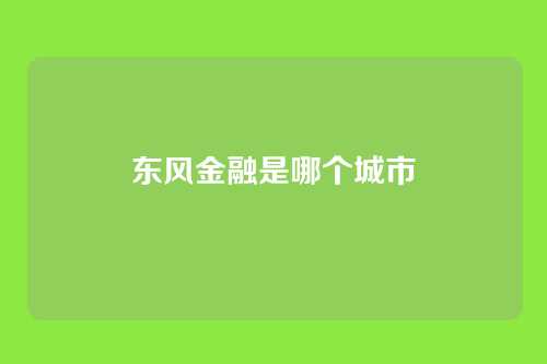 东风金融是哪个城市