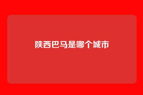 陕西巴马是哪个城市