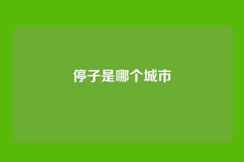 停子是哪个城市
