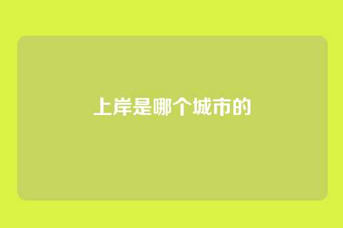 上岸是哪个城市的