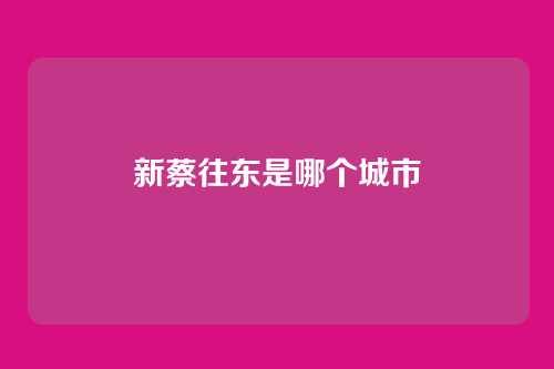 新蔡往东是哪个城市