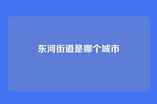 东河街道是哪个城市