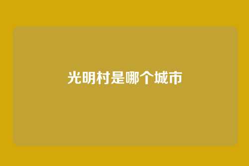 光明村是哪个城市