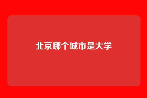 北京哪个城市是大学