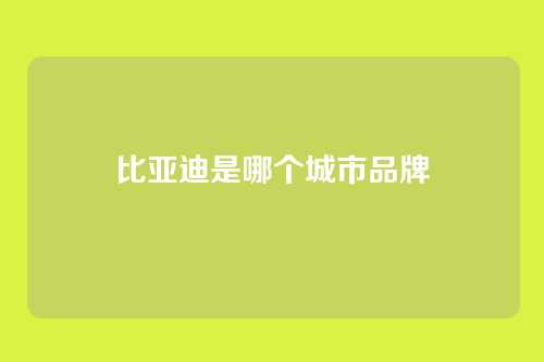 比亚迪是哪个城市品牌