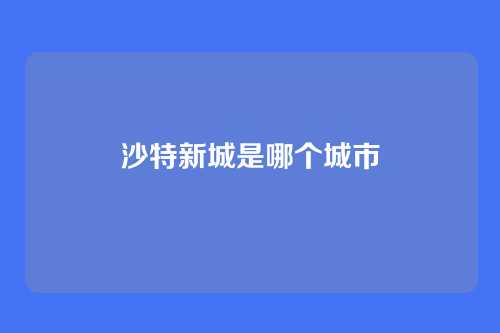 沙特新城是哪个城市