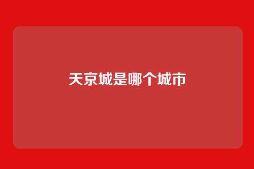 天京城是哪个城市