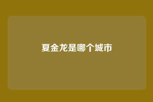 夏金龙是哪个城市