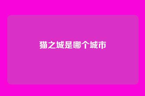 猫之城是哪个城市