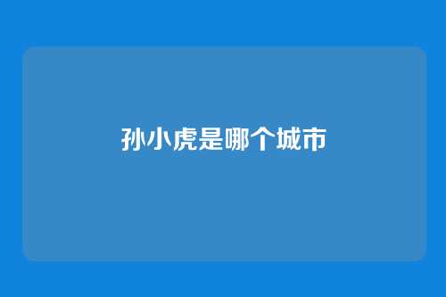 孙小虎是哪个城市