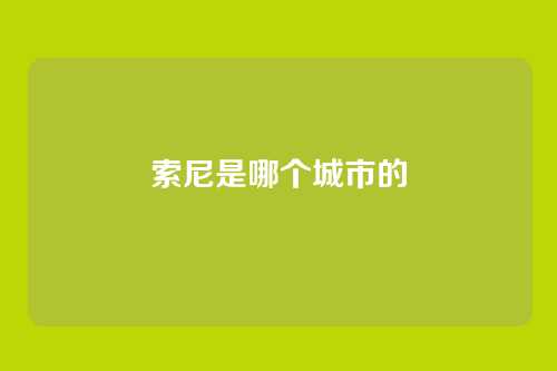 索尼是哪个城市的