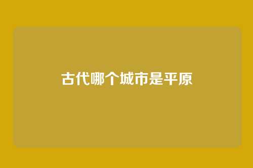 古代哪个城市是平原