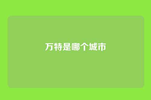 万特是哪个城市