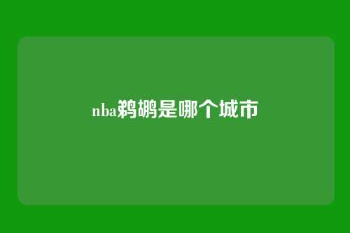 nba鹈鹕是哪个城市