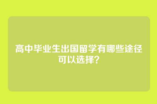 高中毕业生出国留学有哪些途径可以选择？