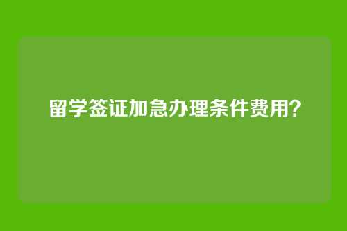 留学签证加急办理条件费用？