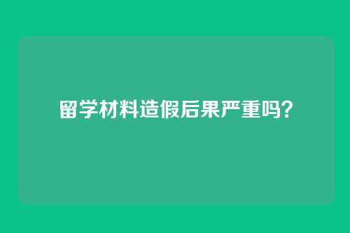 留学材料造假后果严重吗?