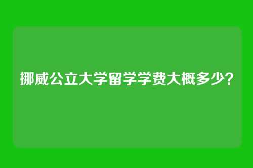 挪威公立大学留学学费大概多少?