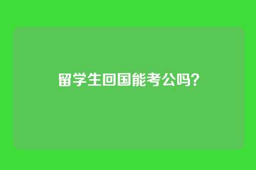 留学生回国能考公吗？