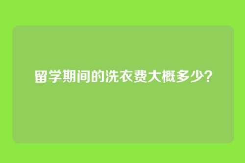 留学期间的洗衣费大概多少？