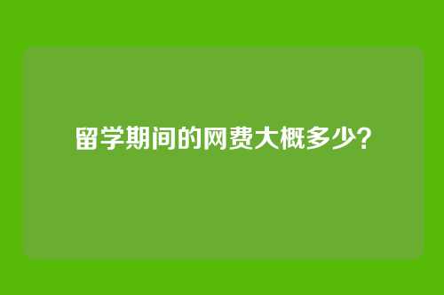 留学期间的网费大概多少？