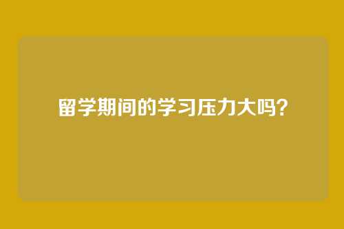 留学期间的学习压力大吗？