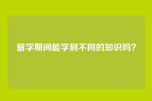 留学期间能学到不同的知识吗?