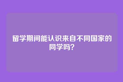 留学期间能认识来自不同国家的同学吗？
