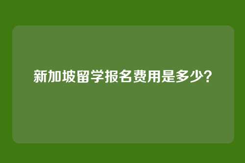 新加坡留学报名费用是多少?