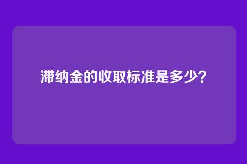 滞纳金的收取标准是多少？
