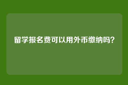 留学报名费可以用外币缴纳吗?