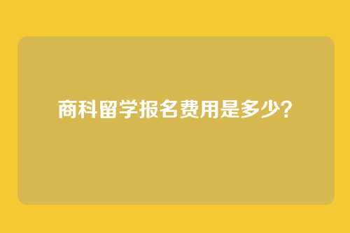 商科留学报名费用是多少?