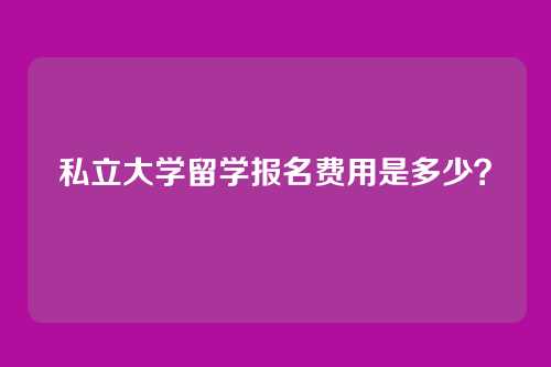 私立大学留学报名费用是多少？