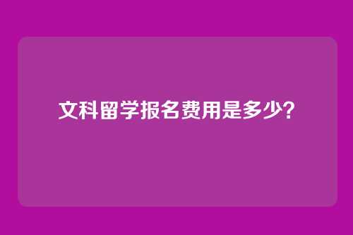 文科留学报名费用是多少?