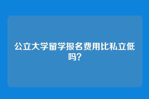公立大学留学报名费用比私立低吗?