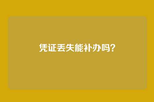 凭证丢失能补办吗?