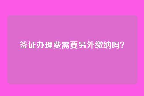 签证办理费需要另外缴纳吗?