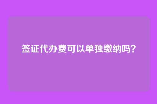 签证代办费可以单独缴纳吗?