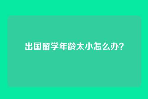 出国留学年龄太小怎么办?