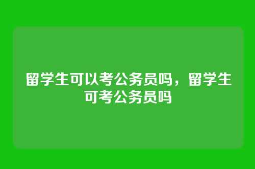 留学生可以考公务员吗,留学生可考公务员吗